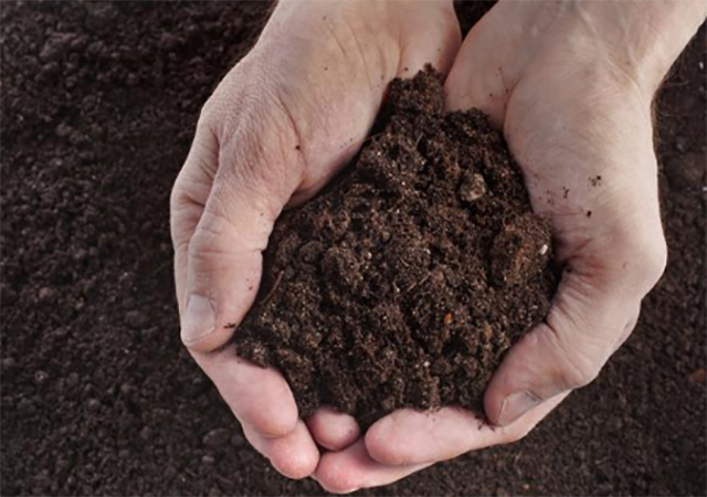土壤检测方法主要有哪些